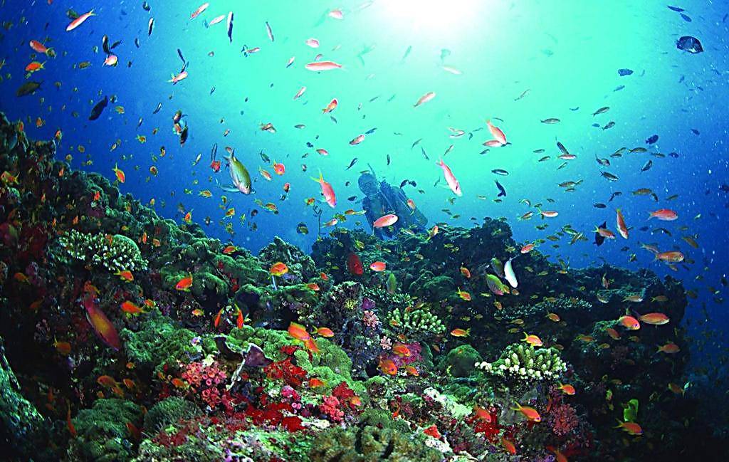 烟台青岛哪个更适合居住,青岛威海烟台哪个最适合居住