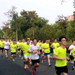 温网新闻2018,温网新闻2017