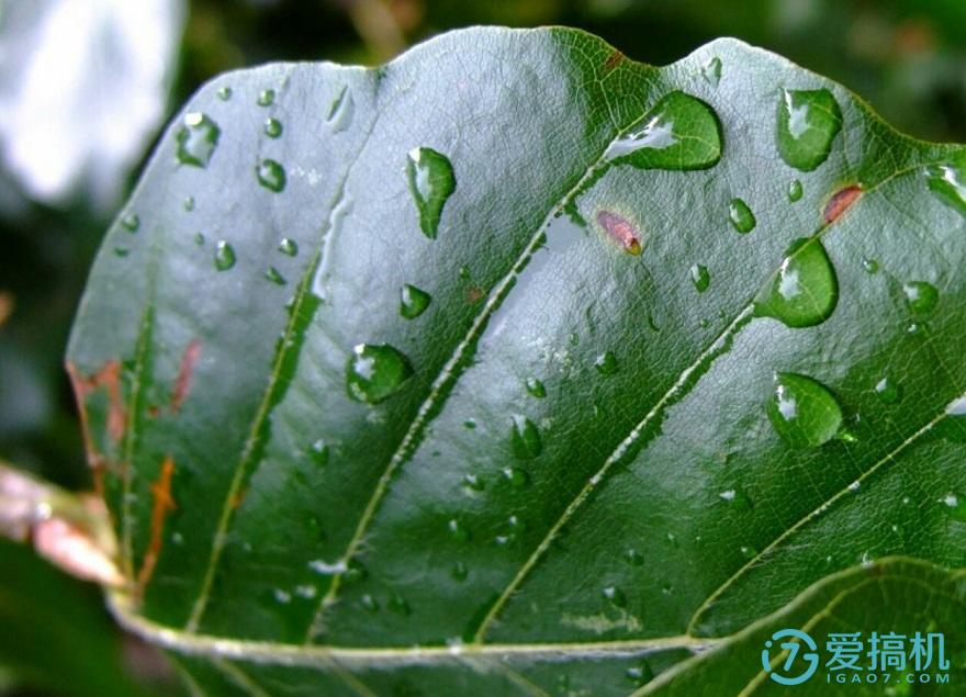 魅蓝千元机测评,魅蓝note3测评