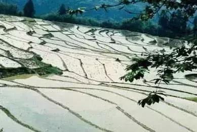 云南最宜居的三座小城,云南这几个小众宝地别错过