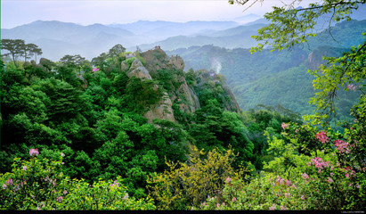 回顾各届奥运圣火,记忆奥运会时间地点口诀