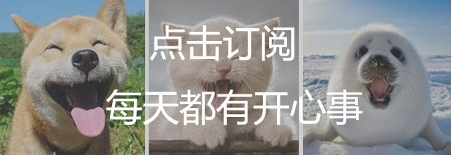 按住喵星人的这个位置，它就不会动了！你知道吗？！