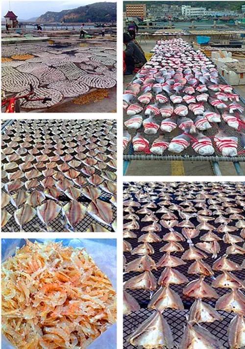 万山群岛钓鱼攻略,三步岗钓鱼攻略