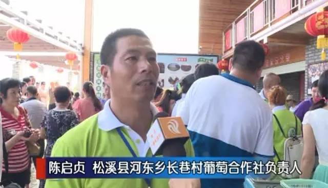 闽北葡萄又一村，教您如何挑选葡萄王