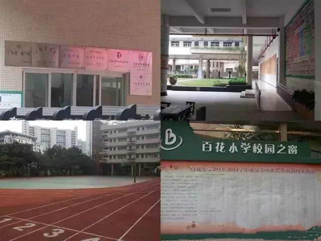 百花小学和荔园小学哪个好,幼升小学前家长必看