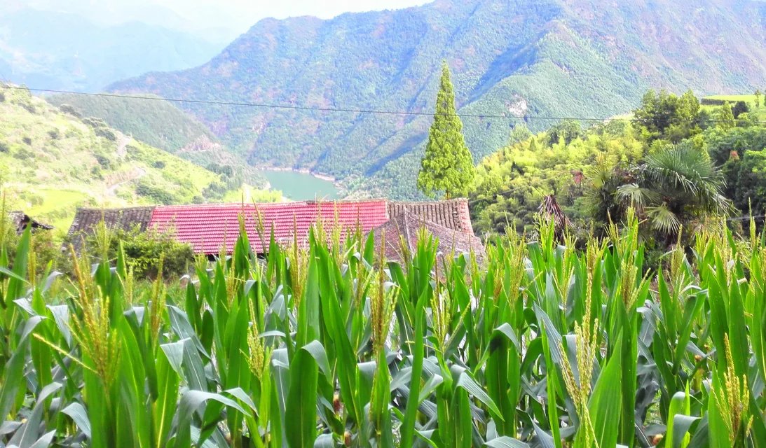 叶岩头,叶岩头村