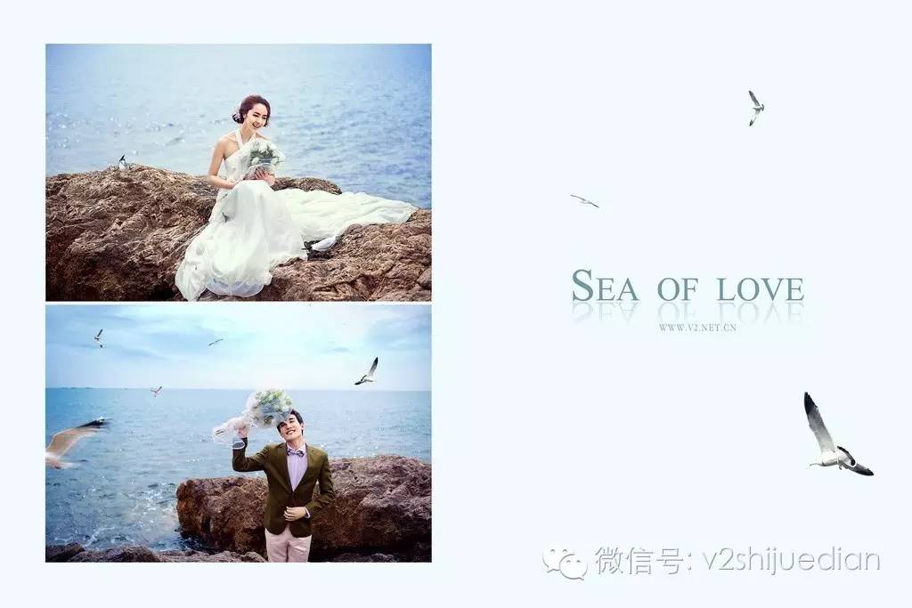 娴疯竟濠氱罕鎽勫奖浣滃搧娆ｈ祻,涓婃捣鍞竴瑙嗚濠氱罕鎽勫奖鏍风墖