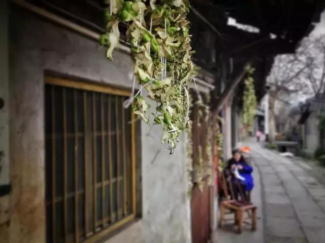 小长假来一场茶之旅,带茶叶旅游攻略