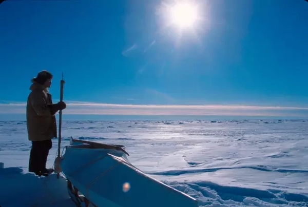 挑选鱼油：你必须知道的一些事情