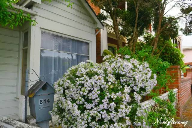 新西兰丨Dunedin但尼丁：骄傲的花园城市