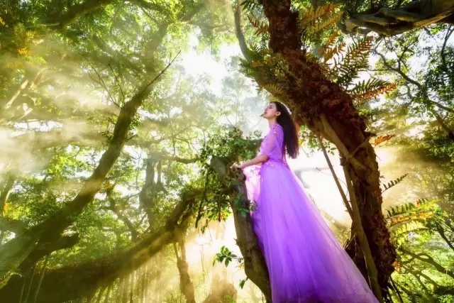 就算吃土也要买的好物,就算吃土也要买的套装