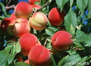 低成本保养皮肤,轻奢私人订制皮肤管理