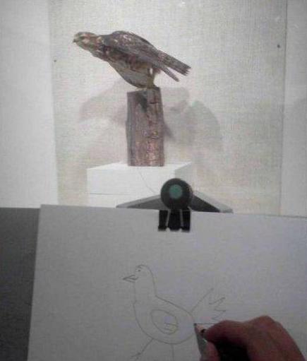 按住喵星人的这个位置，它就不会动了！你知道吗？！