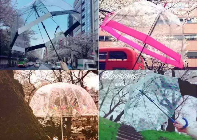 夏天最适合的雨伞 (教你如何挑选小众又高级的雨伞)