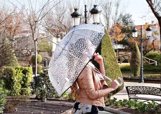 夏天最适合的雨伞 (教你如何挑选小众又高级的雨伞)