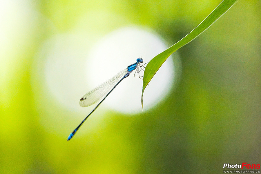 索尼黑卡长焦rx10m4技术参数,索尼超长焦黑卡rx10iii