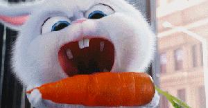 万万没想到！竟然被一群来搞笑的宠物暖哭了