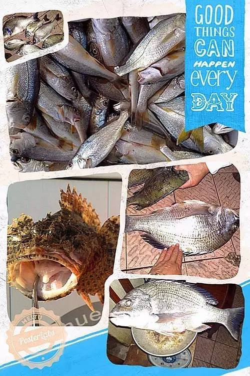 万山群岛钓鱼攻略,三步岗钓鱼攻略