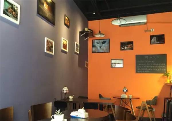 西安钟楼附近四星酒店推荐,西安钟楼附近高档饭店推荐