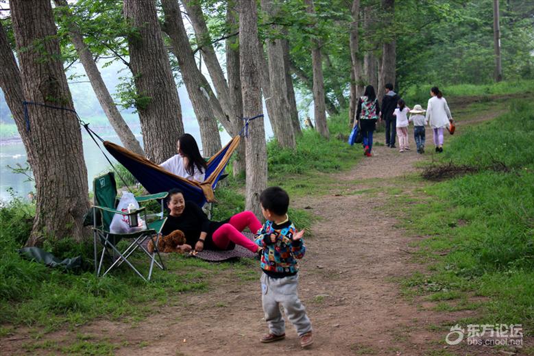 宁波最美风车公路,宁波最美公路
