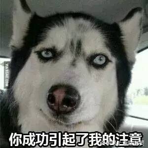 今天第一次看到女朋友下面，黑不溜秋的两片肉，我发飙了。