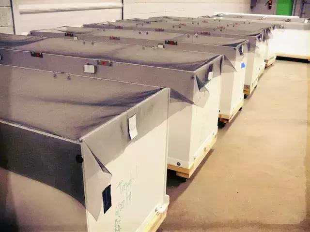 洪荒之力用尽了，来根蟋蟀君做成的能量棒吧！