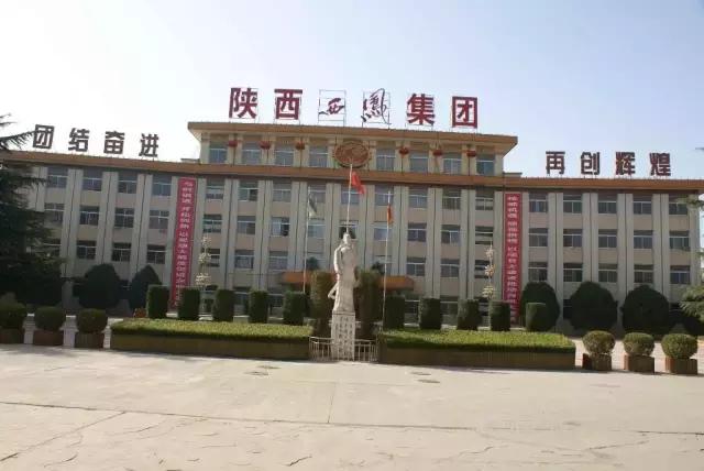 宝鸡国有企业排名,宝鸡有哪些龙头企业