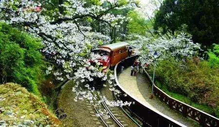 有钱随便旅游,有钱国外旅游