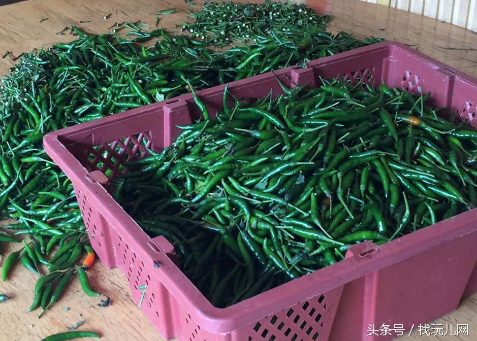 贵圈太乱出处,贵圈太乱还会出现什么