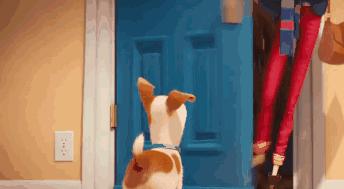 万万没想到！竟然被一群来搞笑的宠物暖哭了