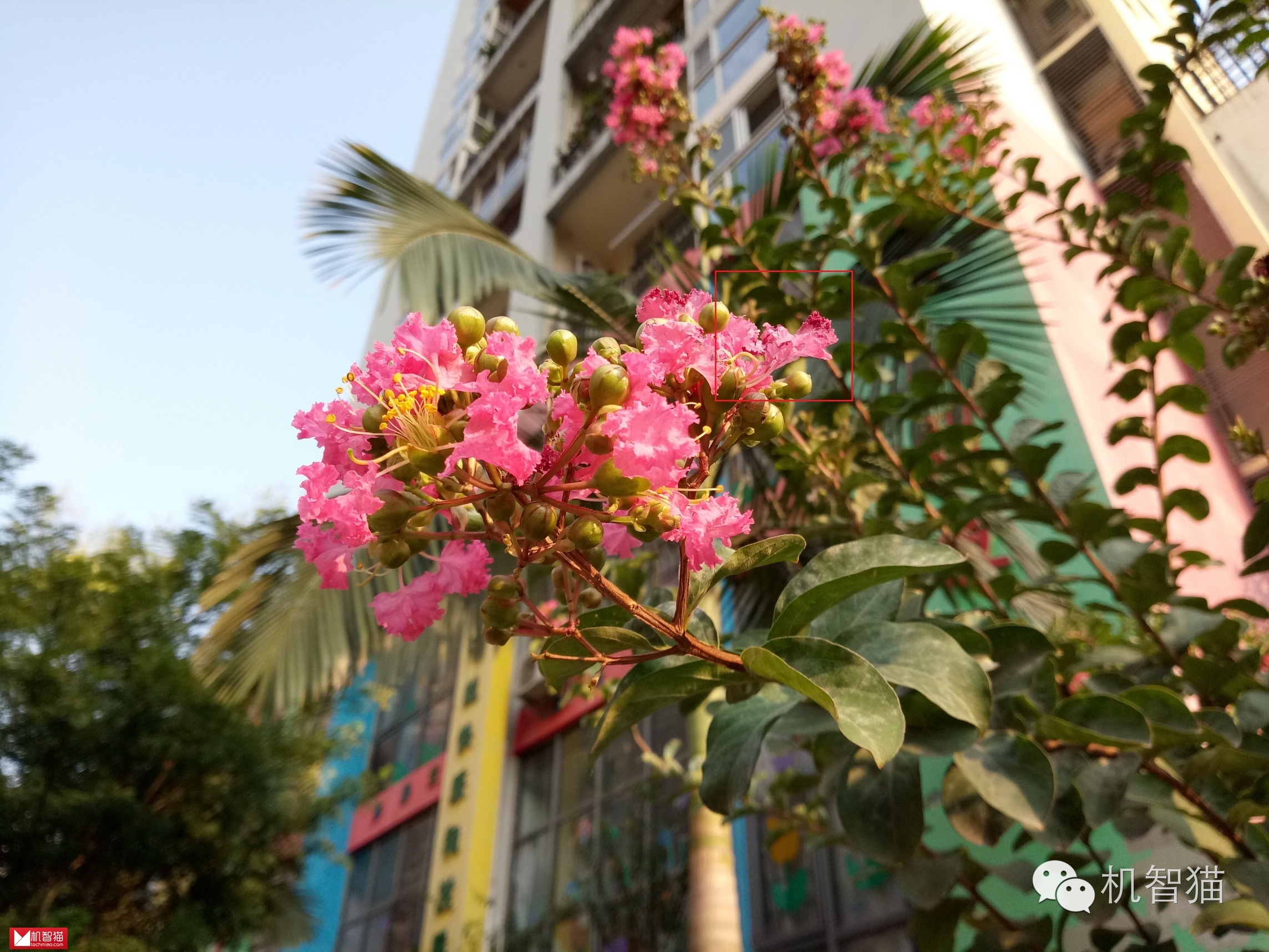 金立M6评测：为了安全，足够“用芯”