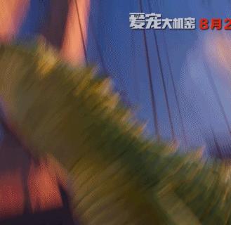 万万没想到！竟然被一群来搞笑的宠物暖哭了