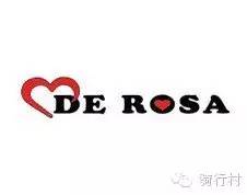 电动自行车排名前十名品牌,铝合金自行车什么品牌最好