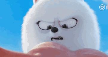 万万没想到！竟然被一群来搞笑的宠物暖哭了