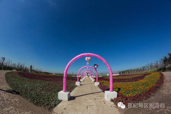 滨海湿地,曹妃甸湿地文化旅游度假区