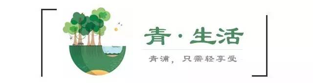 他为莫干山裸心谷提供了最优质的床品之后，干了一件事儿