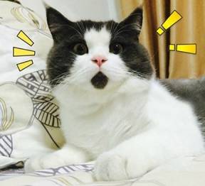 很多人都读错的粤语,这些粤语量词你学会了吗