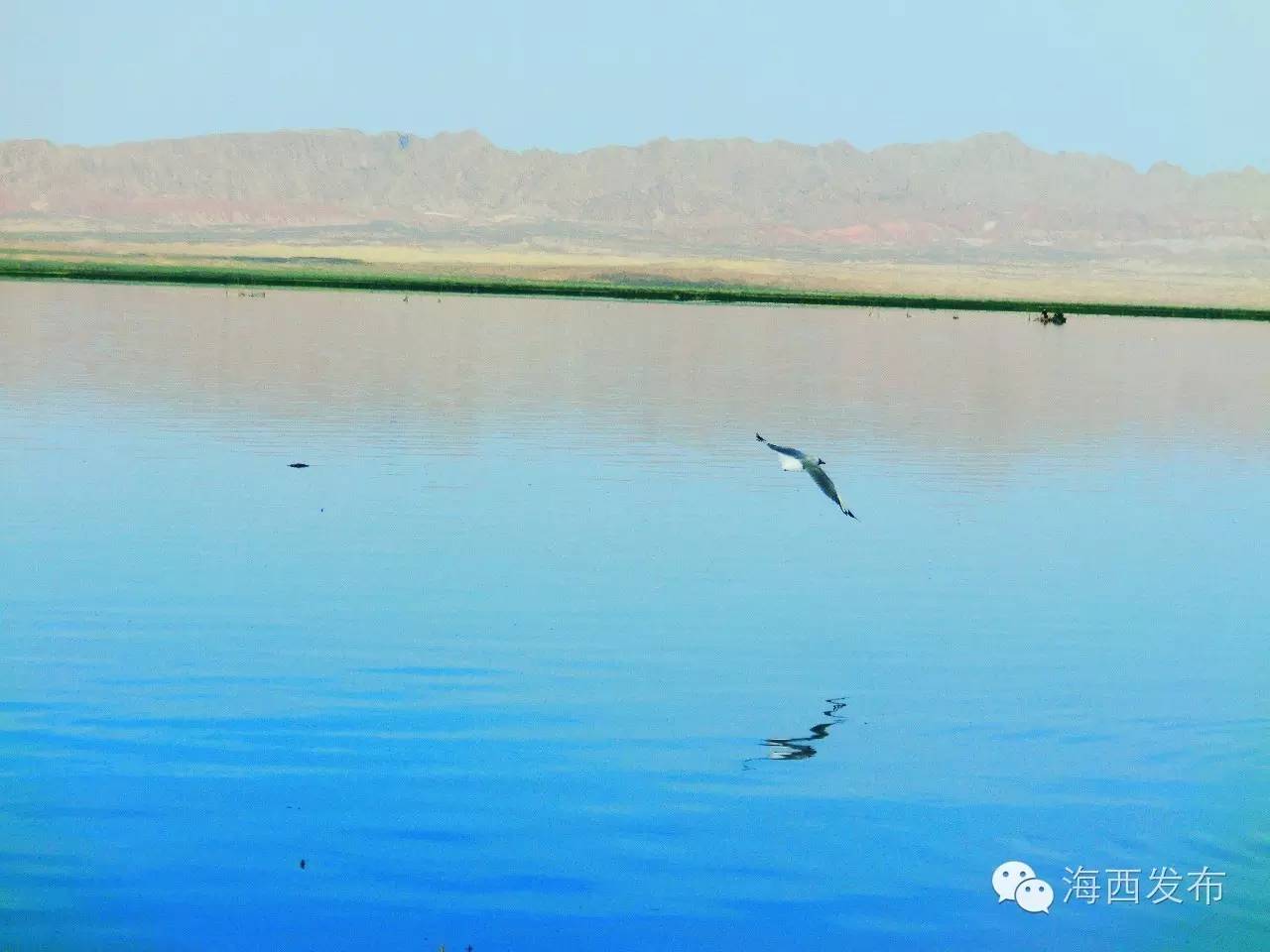 不羡鸳鸯不羡仙是哪首歌曲里的,青山绿水彩云间不羡鸳鸯不羡仙