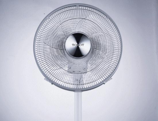 看！这是一颗颜值很高的“科技”之果