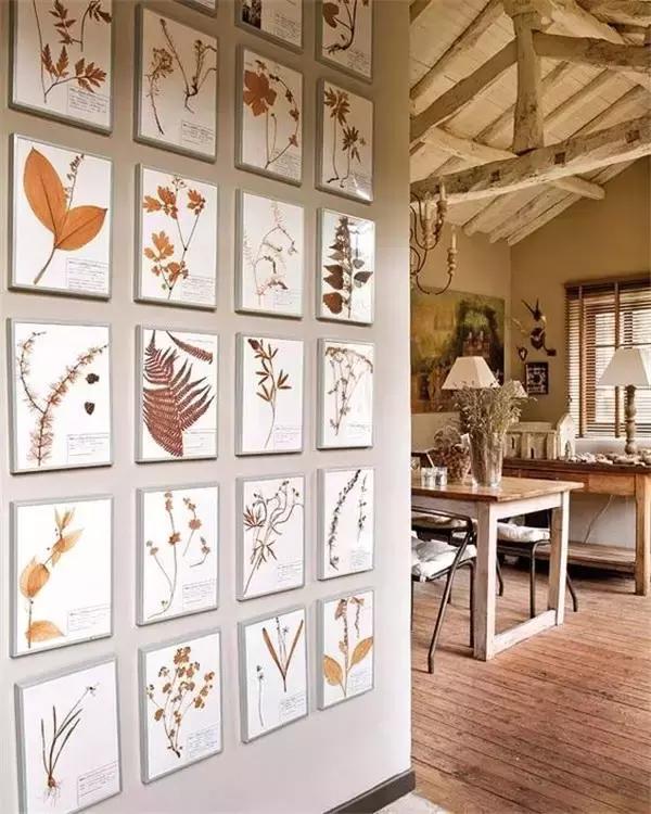 家里再穷也要丢掉的绿植,绿植盆栽都扔了