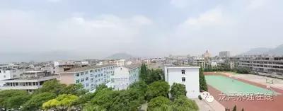 龙湾区有什么学校,龙湾公立学校排名