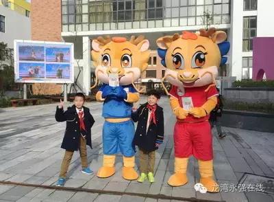 龙湾区有什么学校,龙湾公立学校排名