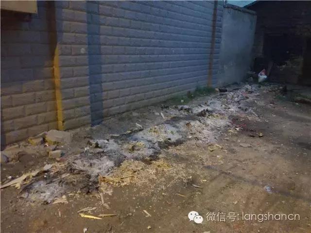 送老客‖中元节留下的残局，谁来为这样的不文明买单？新宁人