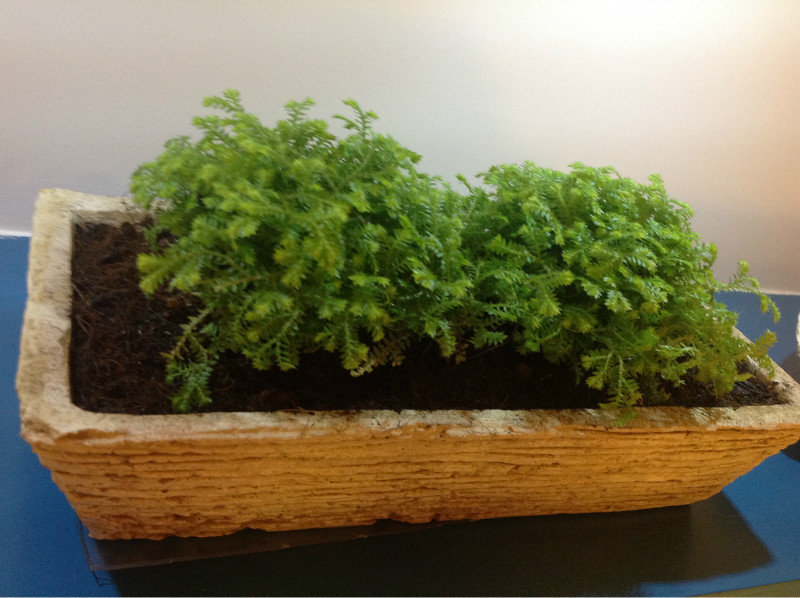 深圳地中海榻榻米定制风格,地中海榻榻米卧室装修效果图