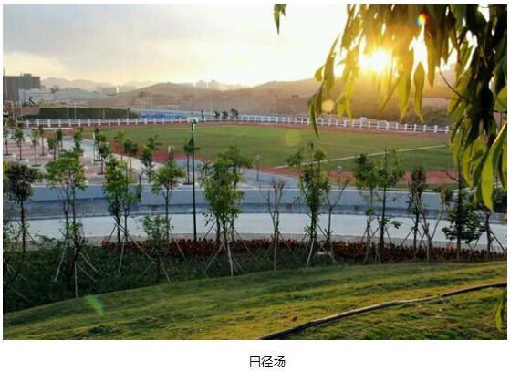 深圳科学高中是什么类型的学校,深圳科学高中2019高考成绩