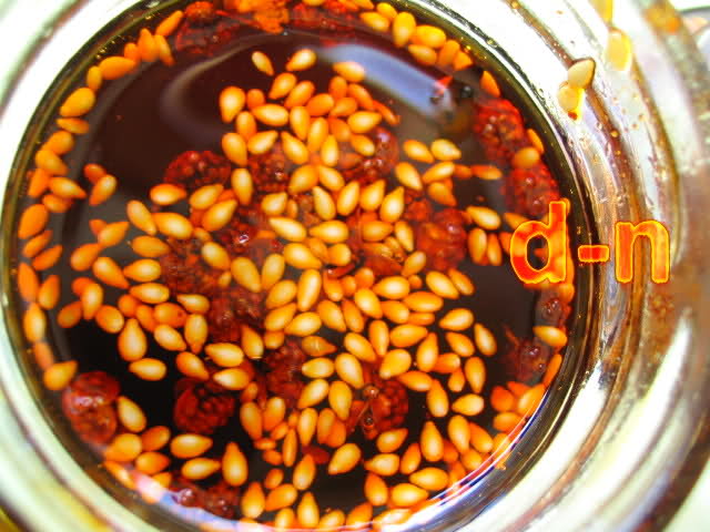 大师的菜家常的味夫妻肺片,夫妻肺片做法全过程