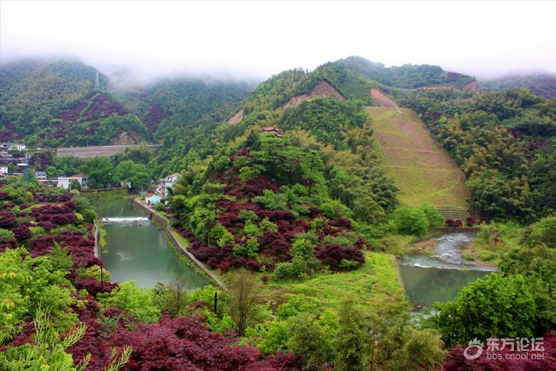 宁波最美风车公路,宁波最美公路