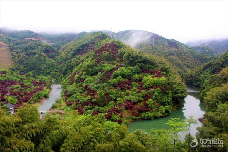 宁波最美风车公路,宁波最美公路