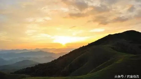 广东的绿宝石,广东绿宝石