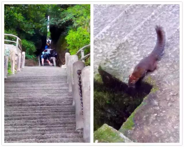 逍遥游三清山,三清山逍遥谷两天一夜游